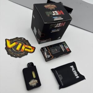 Push Disposable 2G With Screen