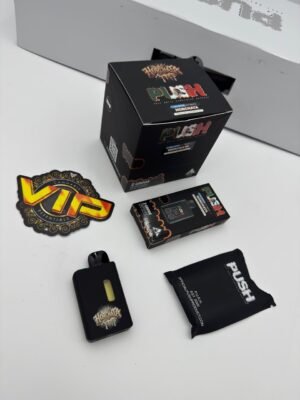 Push Disposable 2G With Screen 10 Push Disposable 2G With Screen