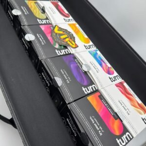 Turn Disposable 2G + Turn Pack 9 Turn Disposable 2G + Turn Pack